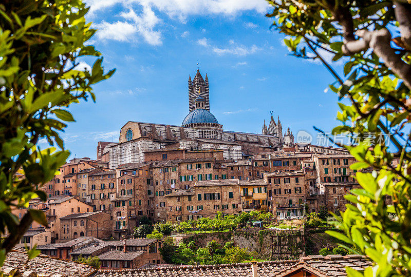锡耶纳大教堂(Duomo di Siena)的圆顶和钟楼，一个美丽的中世纪小镇在托斯卡纳，意大利